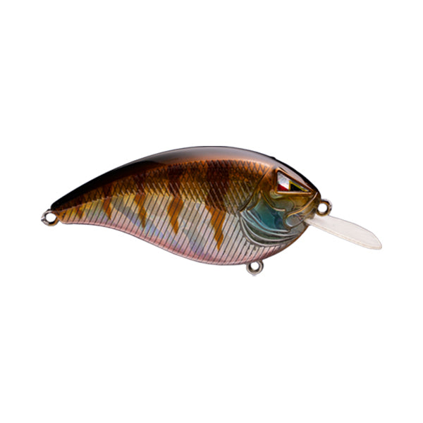 Ark Fishing Elite Z-Series Flatside Crankbait Blue Gill / 2 1/2"