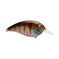 Ark Fishing Elite Z-Series Flatside Crankbait Blue Gill / 2 1/2"