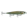 Chrome Threadfin