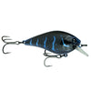 Black n Blue Craw