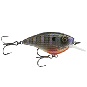 Crush Flat 75X Crankbait Bluegill Spawn / 2 2/3"