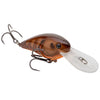 Brown Orange Belly Craw