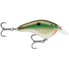 Copper Green Shad