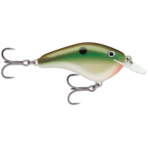 Copper Green Shad