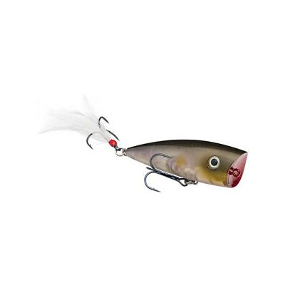 Strike King KVD Splash Topwater Clearwater Minnow / 3" Strike King KVD Splash Topwater Clearwater Minnow / 3"