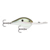 Rapala DT 20 Metal Crankbait Green Gizzard Shad / 2 3/4"