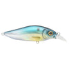 GG Threadfin Shad