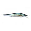 GG Threadfin Shad