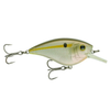 Ghost Threadfin Shad