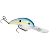 Sexy Shad