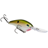 Tennessee Shad