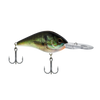 HD Bluegill