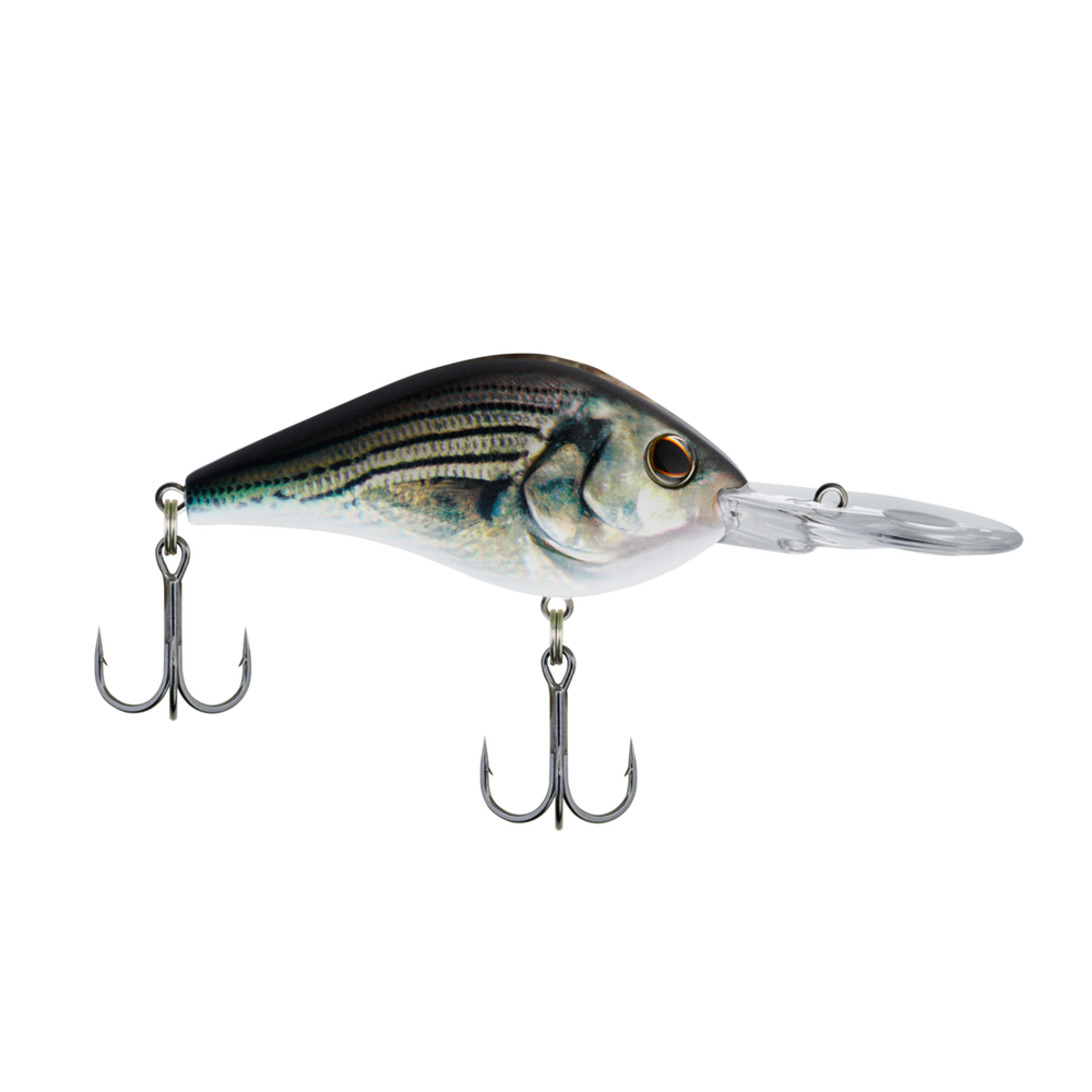 Berkley Dredger 17.5 Crankbait HD White Bass / 2 3/4"