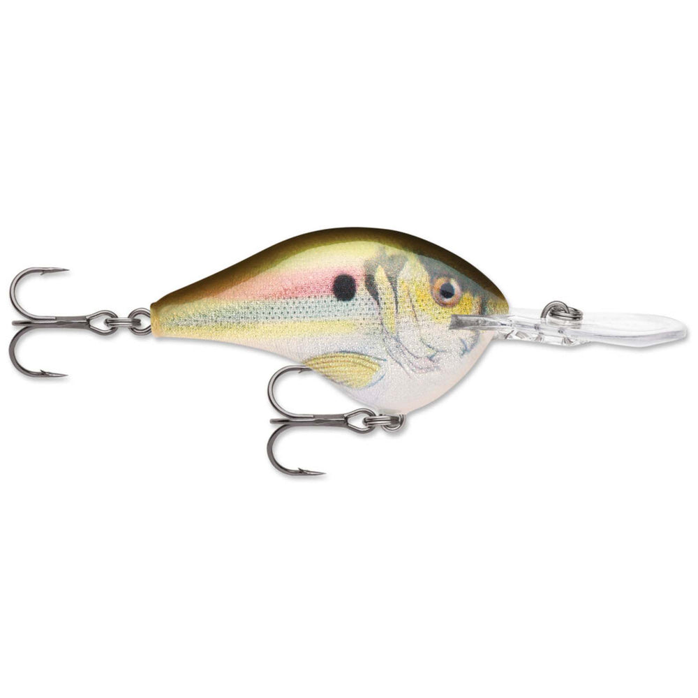 Rapala DT 8 Crankbait Live River Shad / 2"