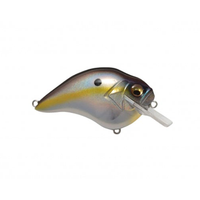 Megabass S-Crank 1.5 Squarebill Crankbait Sexy Shad / 2 1/2"