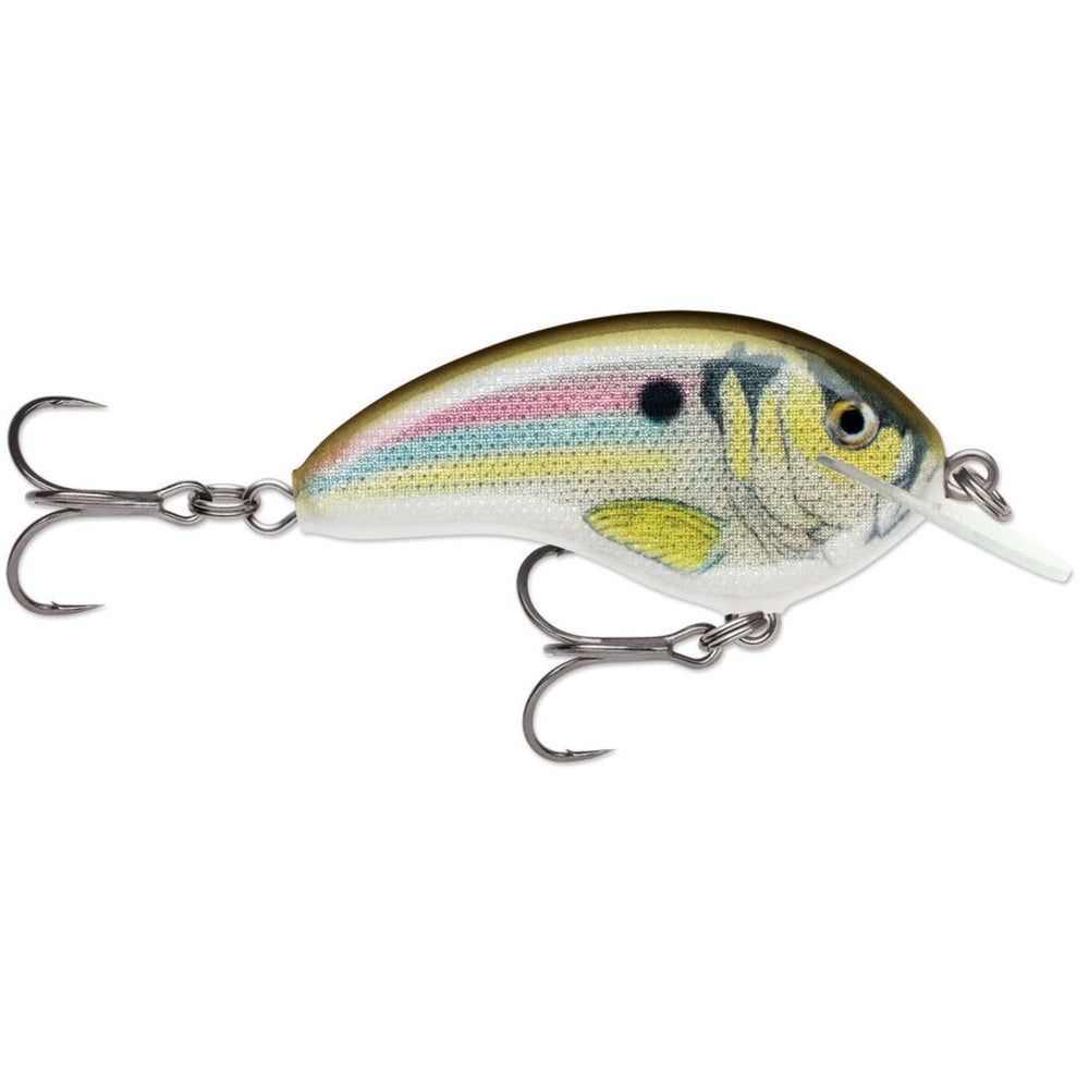 Rapala OG Tiny 4 Crankbait Live River Shad / 2 1/4"