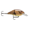 Orange Brown Craw