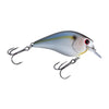 Pearl Threadfin Shad