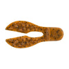 Pumpkinseed