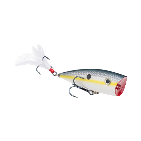 Strike King KVD Splash Topwater Sexy Shad / 3"