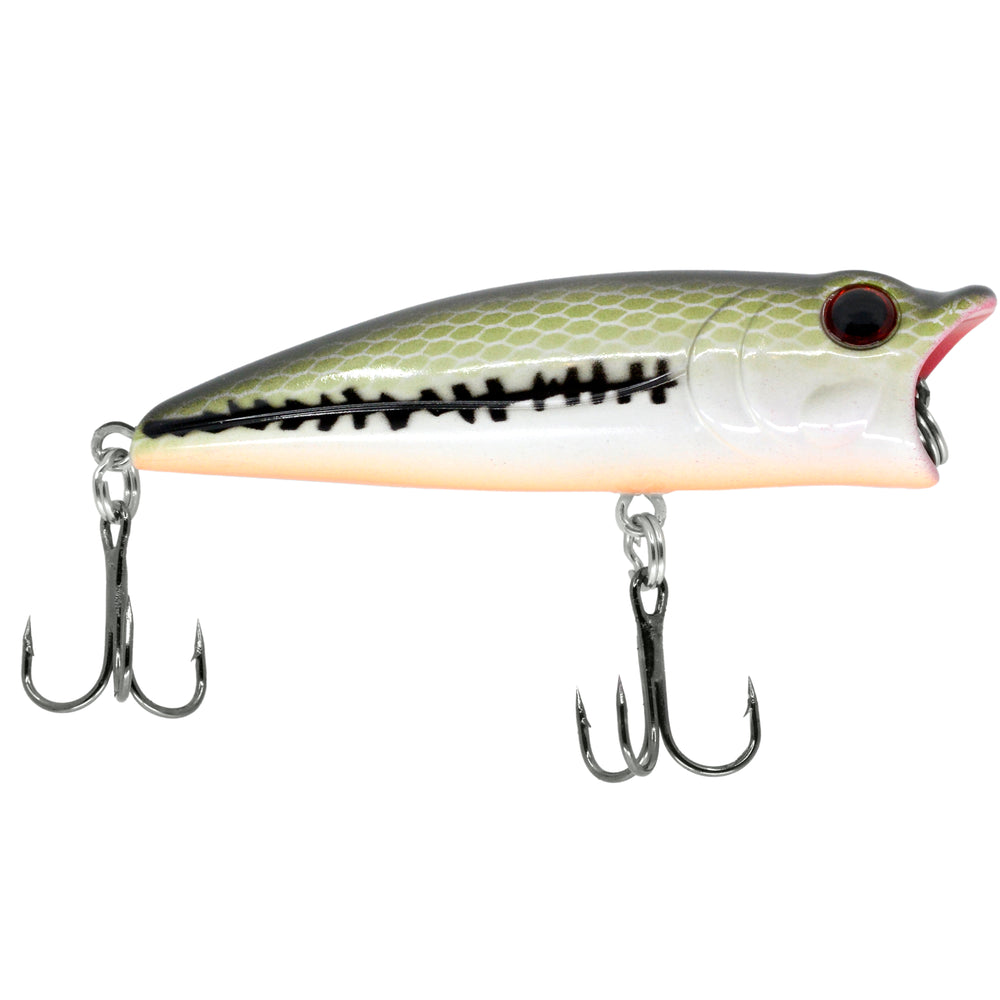 The Time Fishing Popper Lure Hard Fishing Baits Top Water Lure