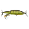 Yellow Perch