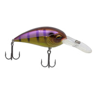 Jenko CD7 Crankbait - EOL Bluegill / 2 1/4"