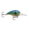 Blue Tiger Craw