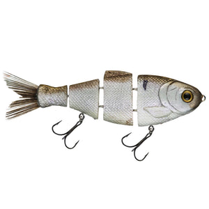 Bull Shad Slow Sink