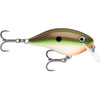 Copper Green Shad