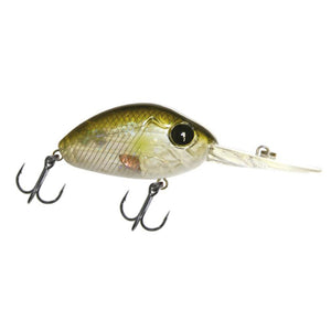 DC 200 Crankbait