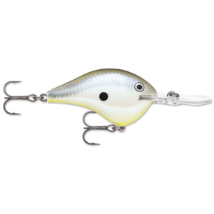 Disco Shad