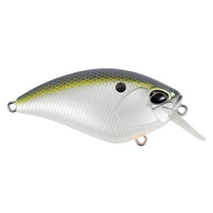 American Shad