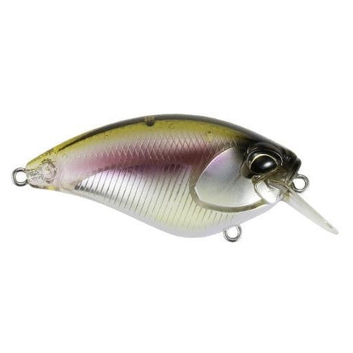 Duo Realis Apex Crank 66 Squared Squarebill Crankbait Komochi Wakasagi / 2 5/8" Duo Realis Apex Crank 66 Squared Squarebill Crankbait Komochi Wakasagi / 2 5/8"