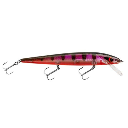 Buy Smithwick Lures Perfect 10 Rogue Minnow-Style Jerkbait