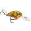 Green Orange Belly Craw