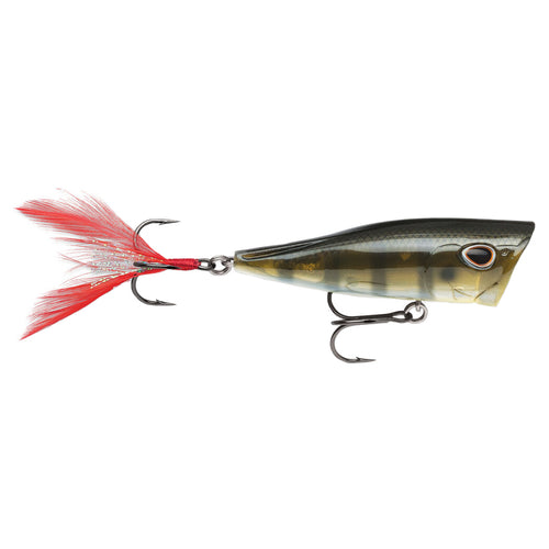 Storm Arashi Cover Pop Green Gill / 3 1/8" Storm Arashi Cover Pop Green Gill / 3 1/8"