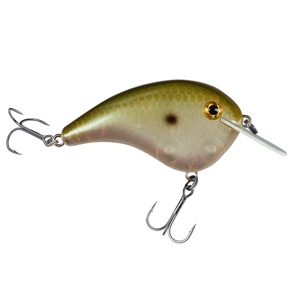 Strike King Chick Magnet Jr. Flat Sided Crankbait Green Gizzard Shad / 2 1/4"