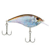 HD Blueback Herring