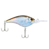 HD Blueback Herring