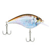 HD Blueback Herring