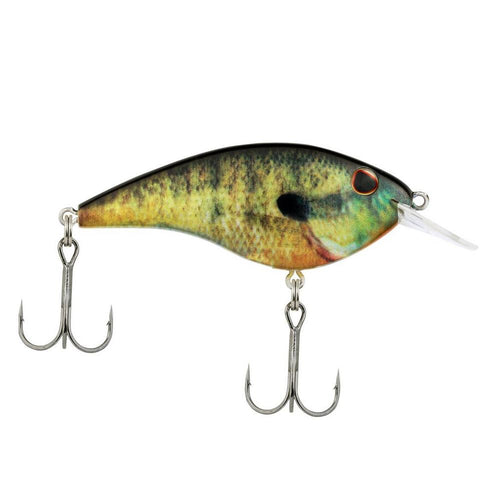 Berkley Frittside 5 Biggun' Crankbait HD Bluegill / 2 4/5" Berkley Frittside 5 Biggun' Crankbait HD Bluegill / 2 4/5"