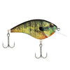 HD Bluegill