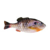 HD Bluegill