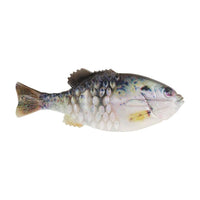 Berkley PowerBait Gilly 3 1/2" / HD Crappie