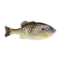 Berkley PowerBait Gilly 4 1/3" / HD Sunfish