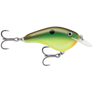 Hot Copper Green Shad