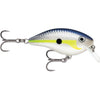 Helsinki Shad