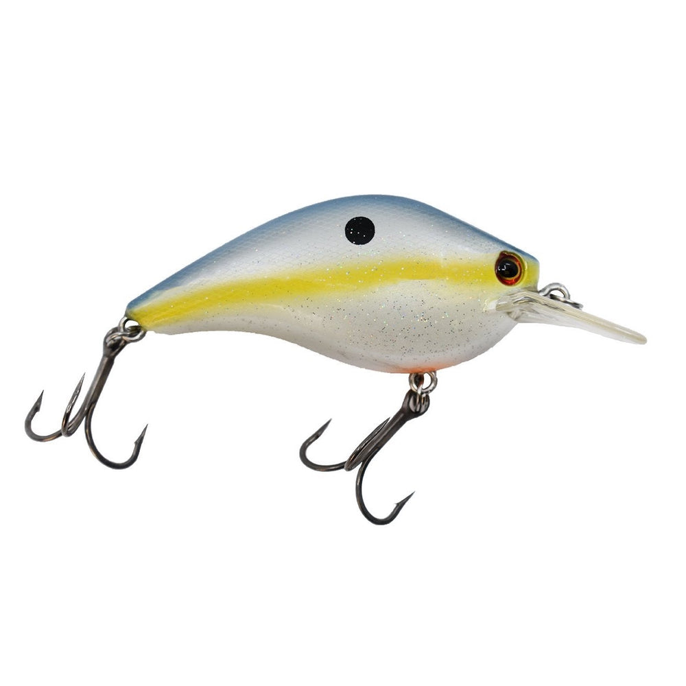 Ichikawa Fishing RC FLAT SHAD 65MD - 【Bass Trout Salt lure