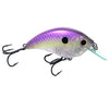 Lavender Shad